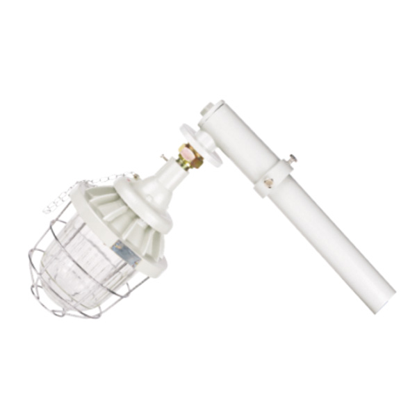 DCM 系列防爆馬路燈(ⅡB、ⅡC、e)